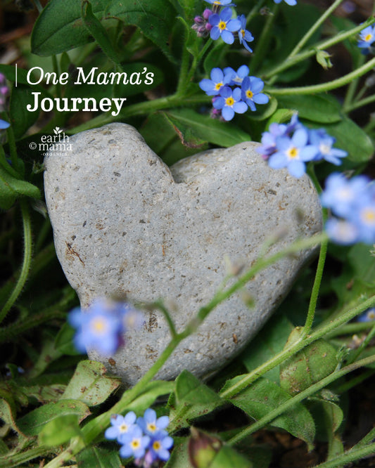 One Mama's Journey