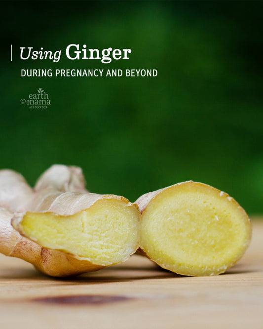 Using Ginger During Pregnancy and Beyond