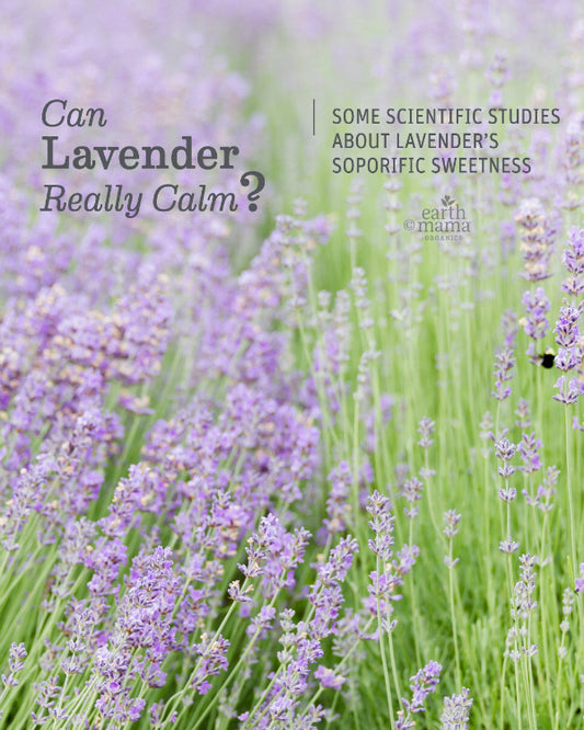 Can Lavender Really Calm?
