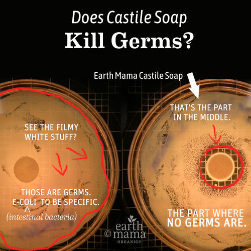 Does Castile Soap Kill Germs?