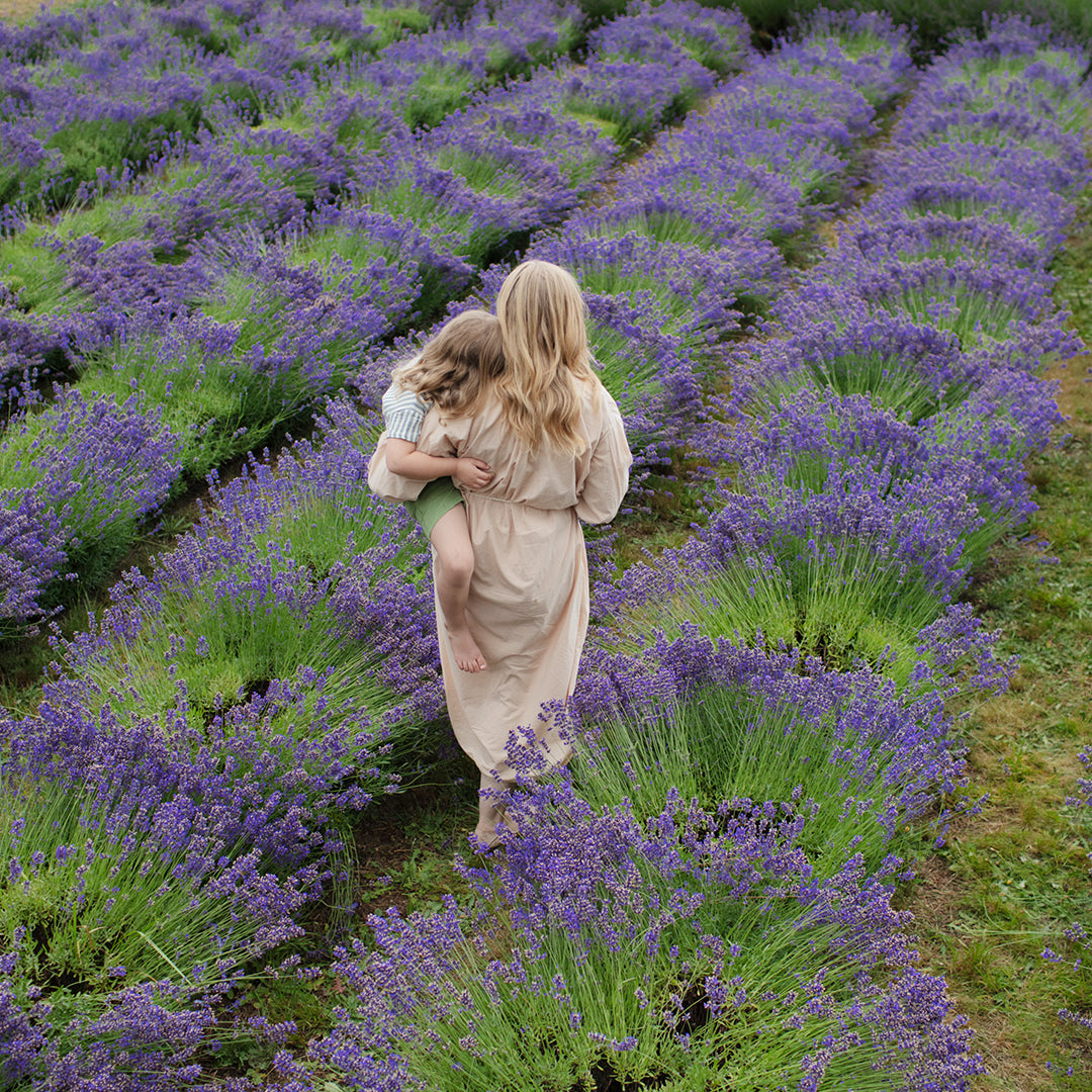 Mama carrying her child through a field of lavender