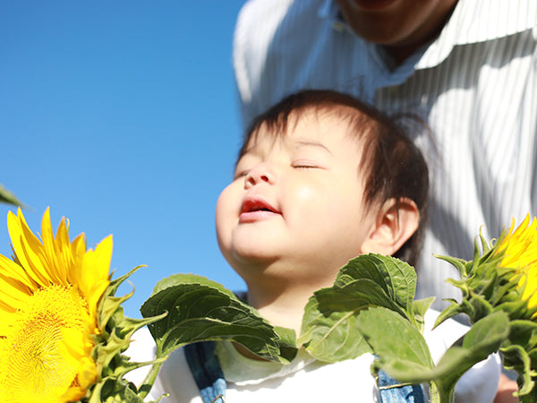 Image: toddler face in sunflowers looking up to sun